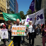 Wellington climate march Willis Street.jpg